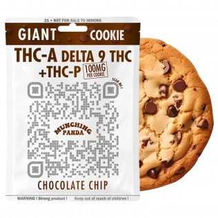 Munching Panda 100mg delta 9 thc + thc-p + thc-a chocolate chip cookie bag