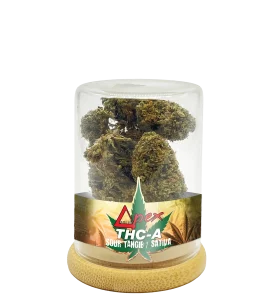 Deltapex Sour tangie sativa cannabis flowers 3.5g jar